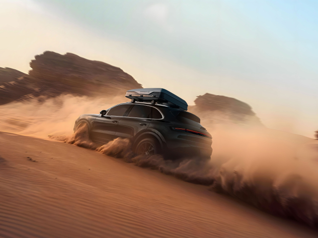 Desert Experience Desert Experience